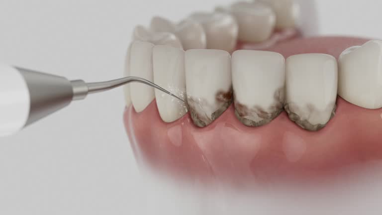 Reliable Dental contractor in Ruston, WA by Dentist Open Now